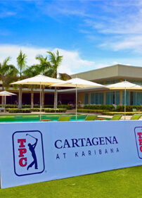 TPC Image